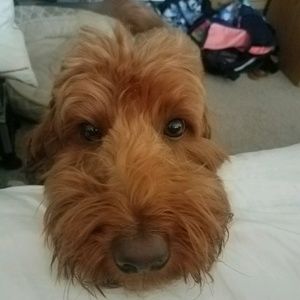 Meet your Posher, Fekla